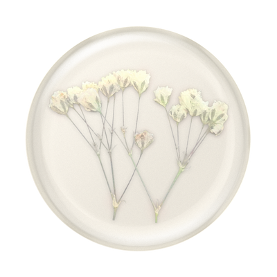 Pressed Flower Baby's Breath